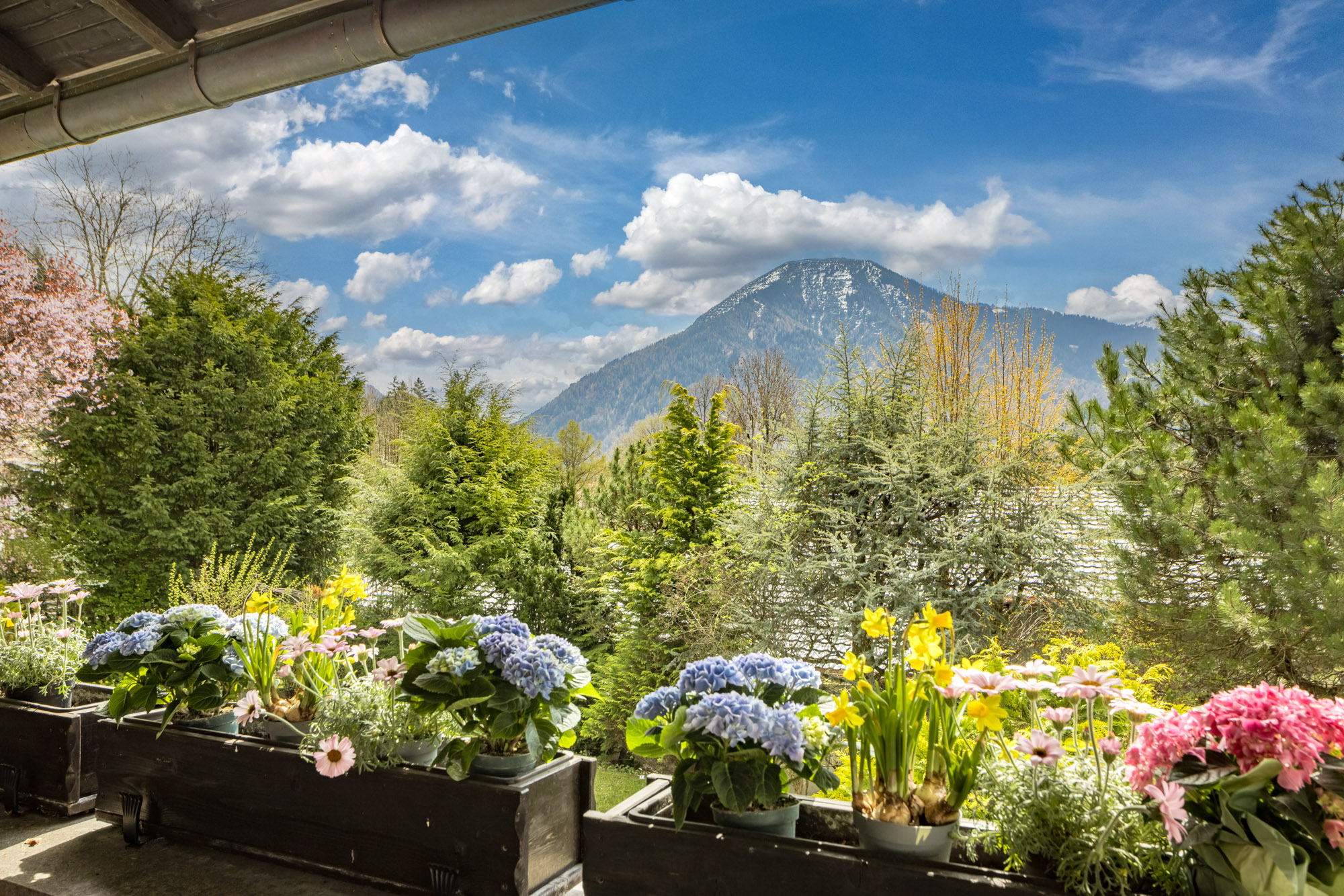  Alpine Living - Front Row to the Mountains - 物件實景