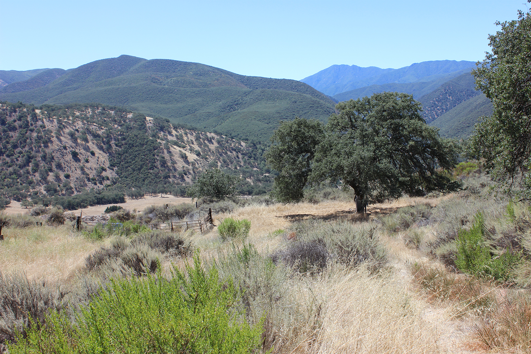  0 East Carmel Valley Road - 物件實景
