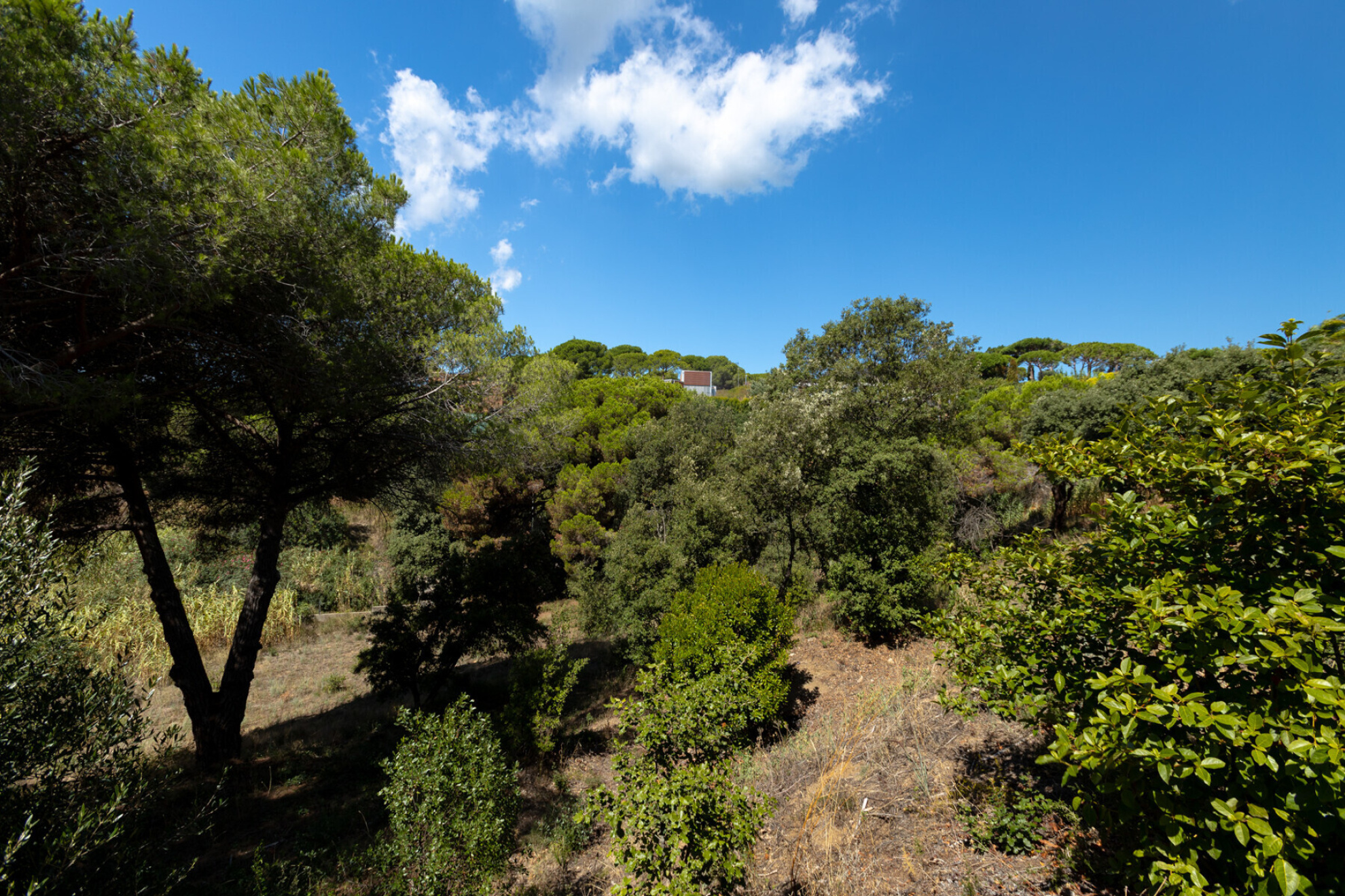  Two adjoining plots in Rocaferrera, Sant Andreu de Llavaneres - Costa BCN - 物件實景