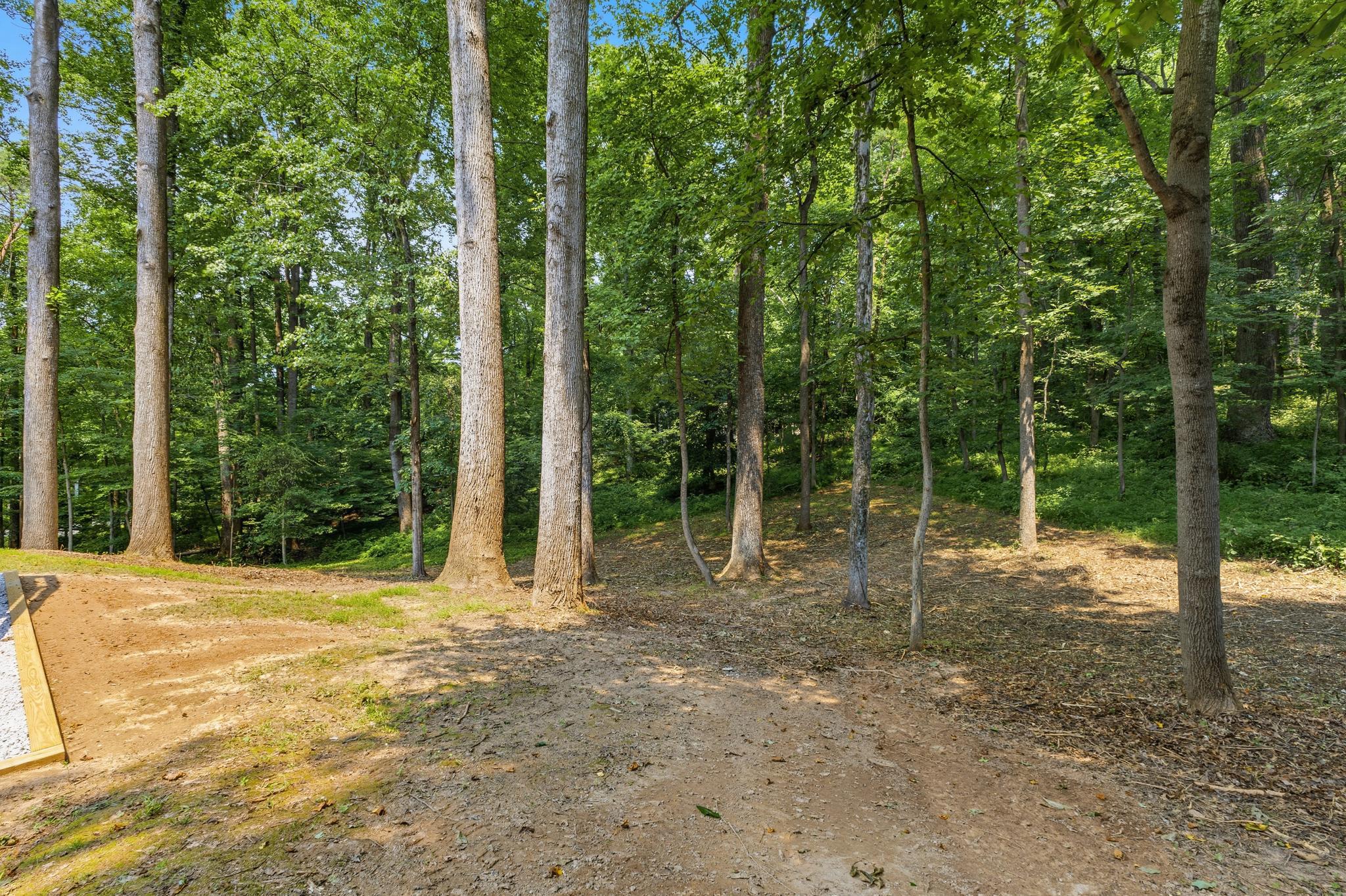  9200 Ripple Brook Road, Great Falls, VA, 22066 - 物件實景