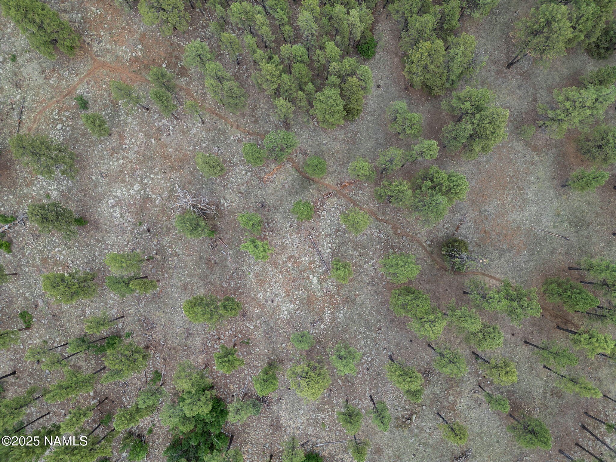 Flagstaff, Arizona, 86001, United States, ,Land,For Sale,1948051