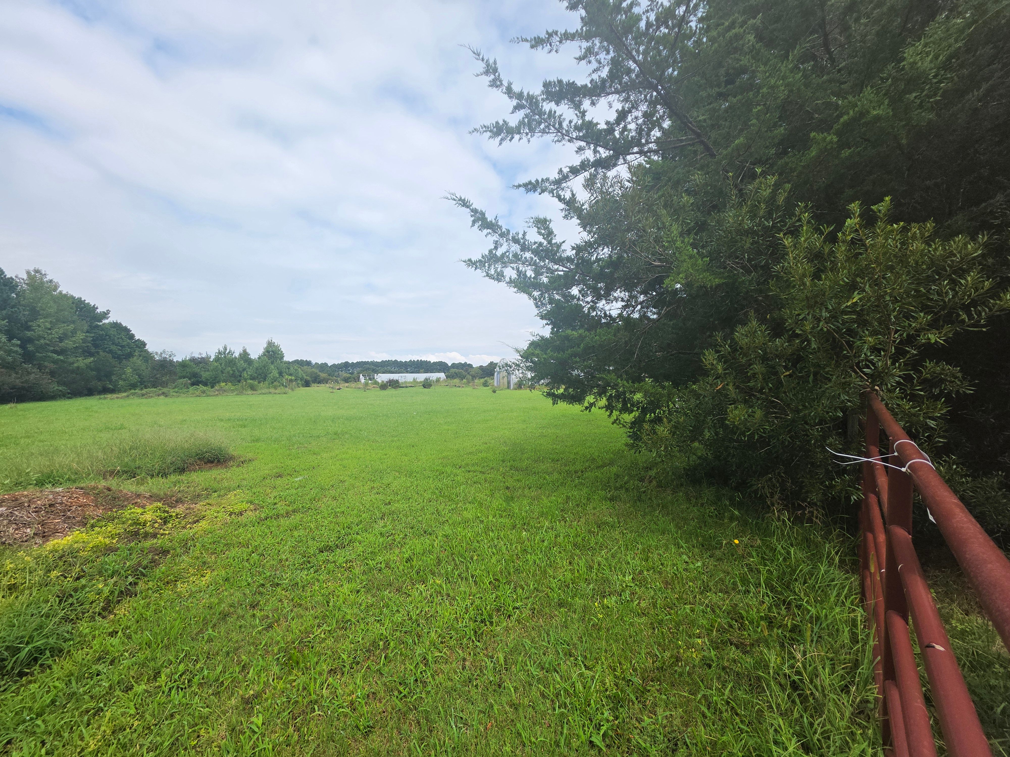  2.995 Plantation (parcel B Ac) Road, Onancock, VA, 23417 - 物件實景
