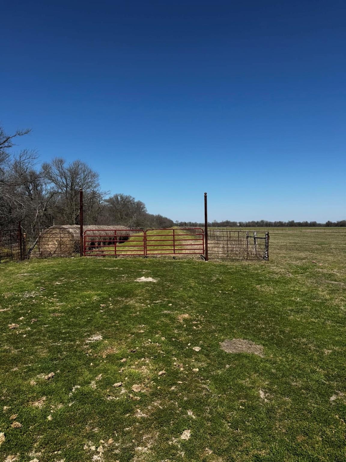 Thorndale, Texas, 76577, United States, ,Land,For Sale,1980741