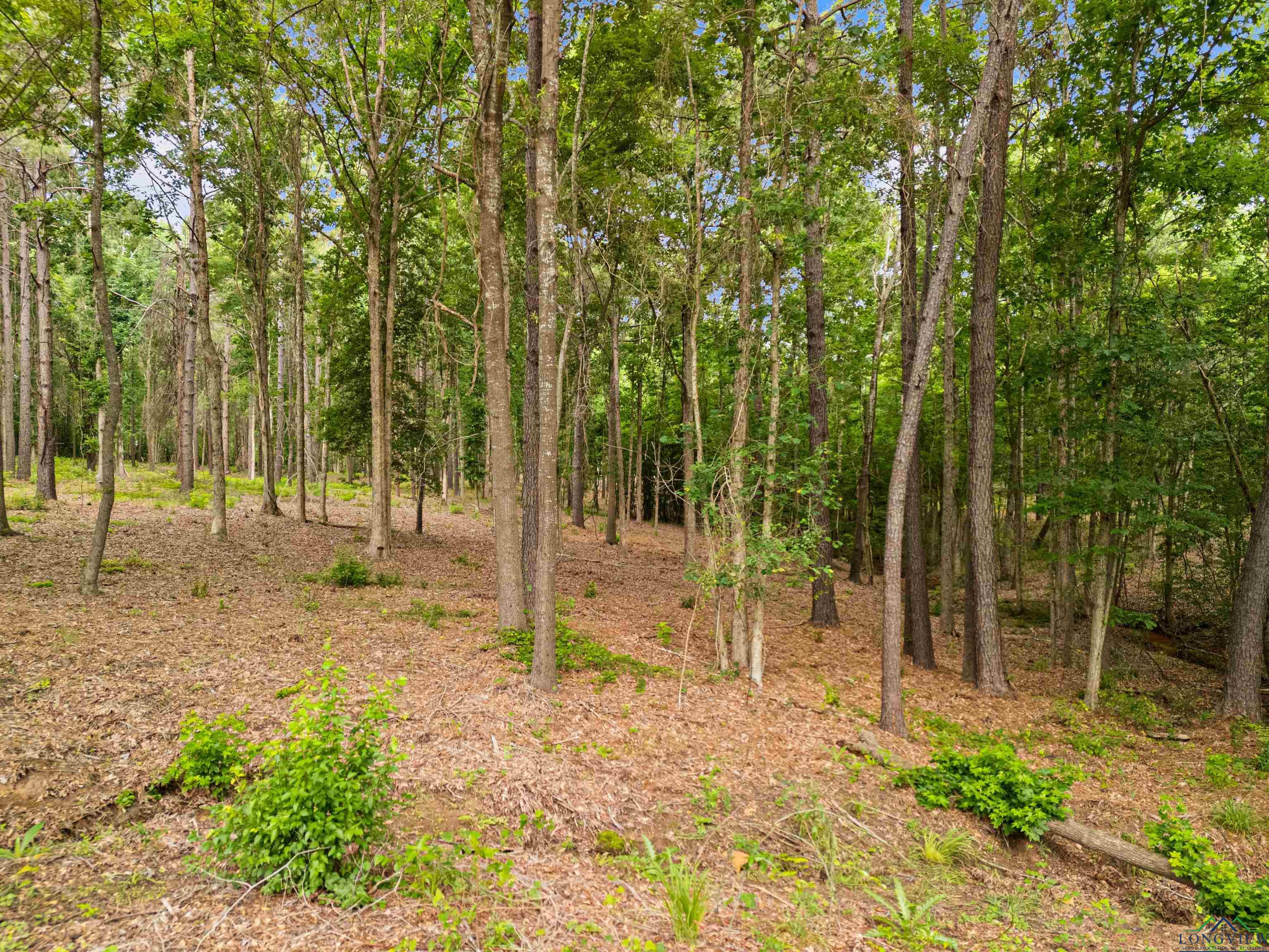 Longview, Texas, 75605, United States, ,Land,For Sale,1846735