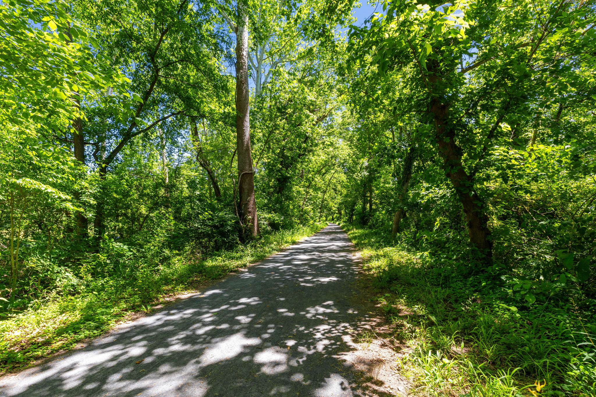  16318 Canal Road, Sharpsburg, MD 21782 - 物件實景