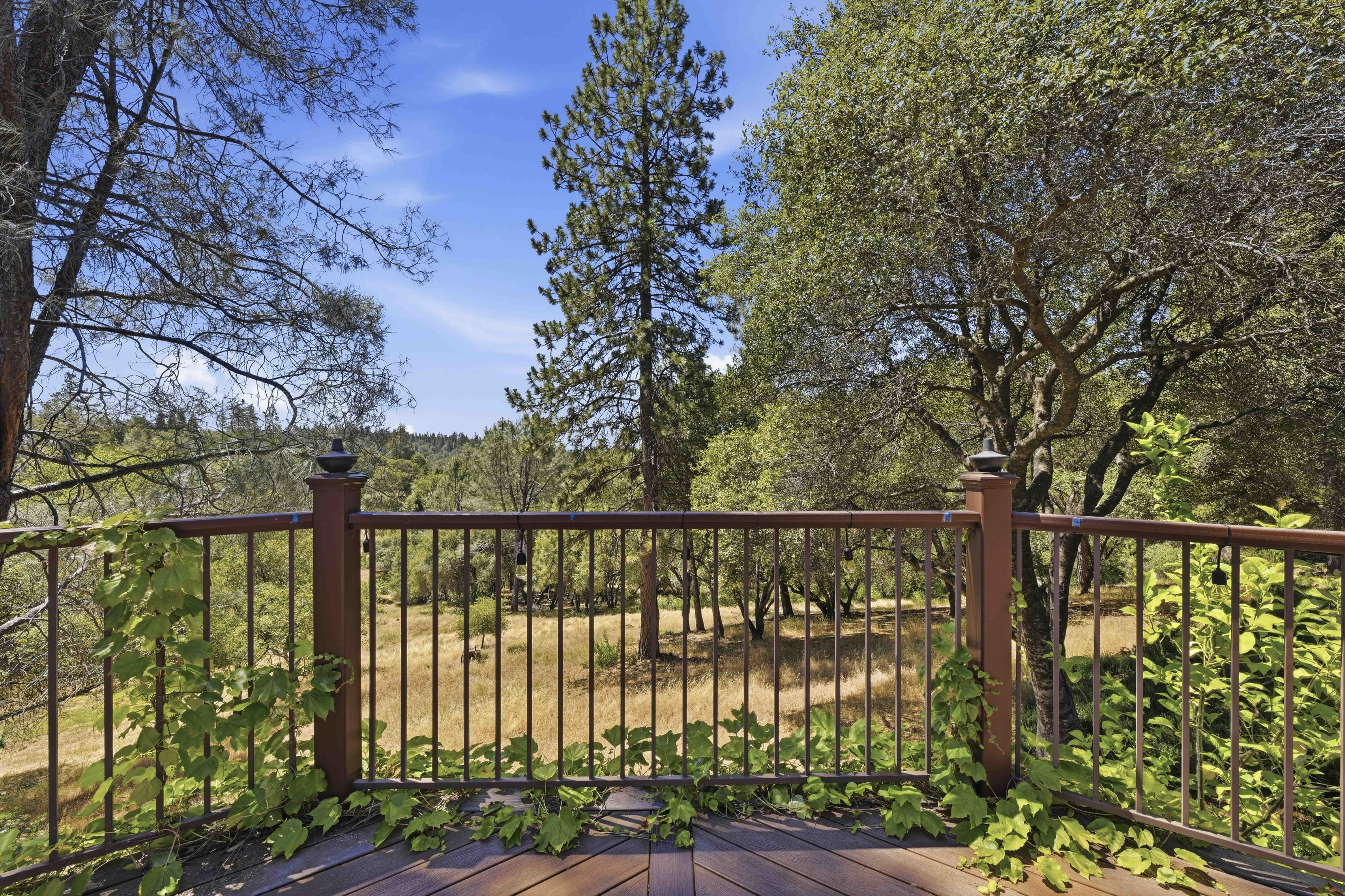  1109 Holly Leaf Lane, Meadow Vista, CA 95722 - 物件實景