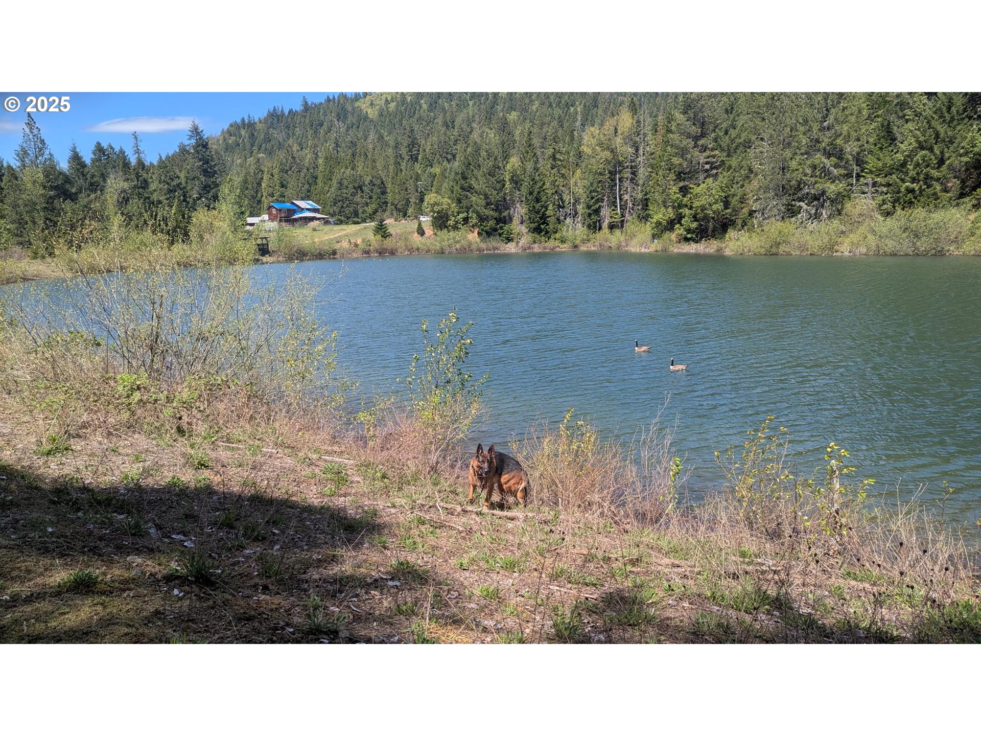 2999 Speaker Rd, Wolf Creek, Oregon, 97497, United States, 4 Bedrooms Bedrooms, ,4 BathroomsBathrooms,Residential,For Sale,2999 Speaker Rd,1659471