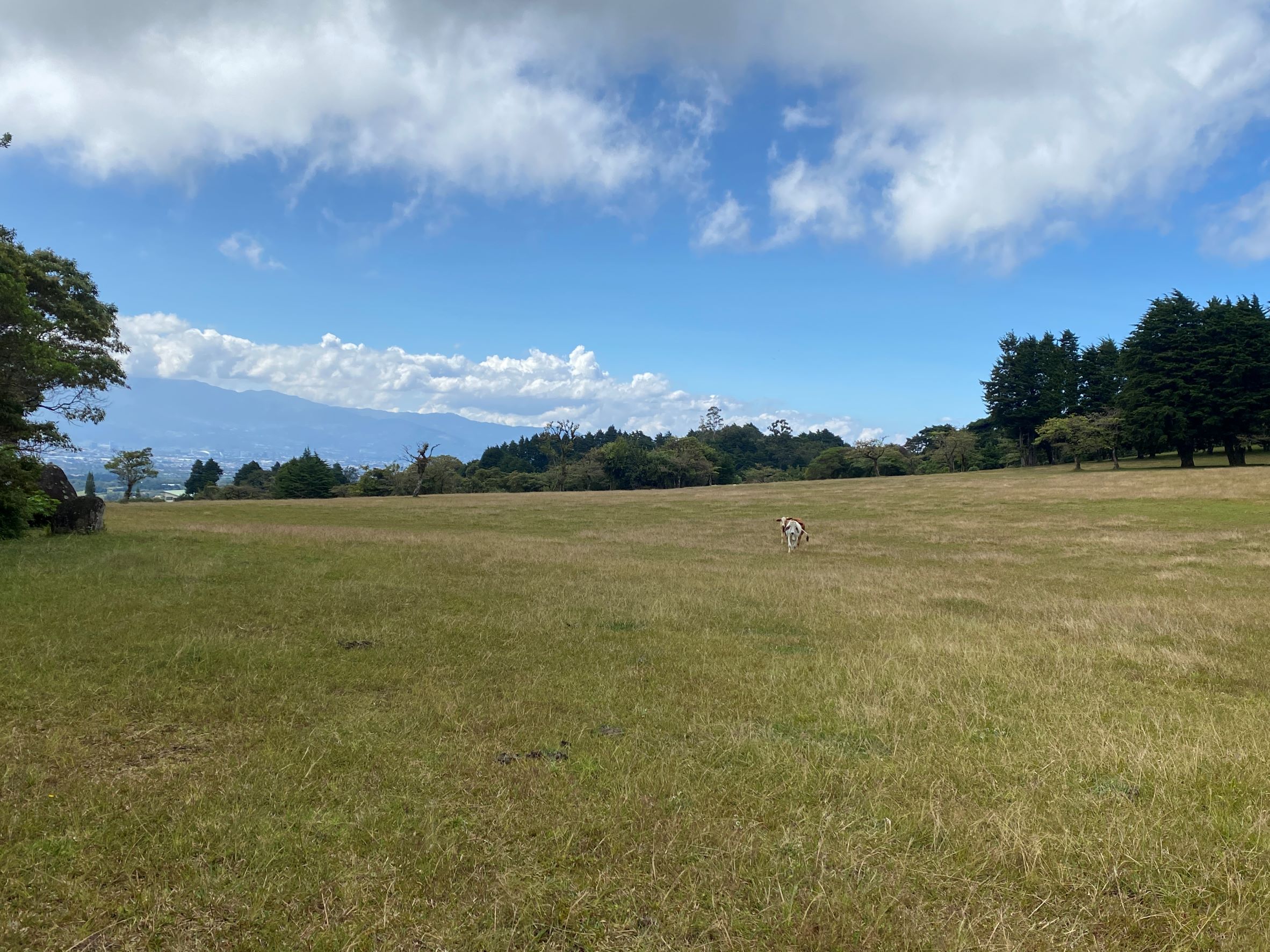 Concepcion de San Isidro Heredia, Concepcion, Heredia, CR, ,Land,For Sale,Concepcion de San Isidro Heredia,1587739