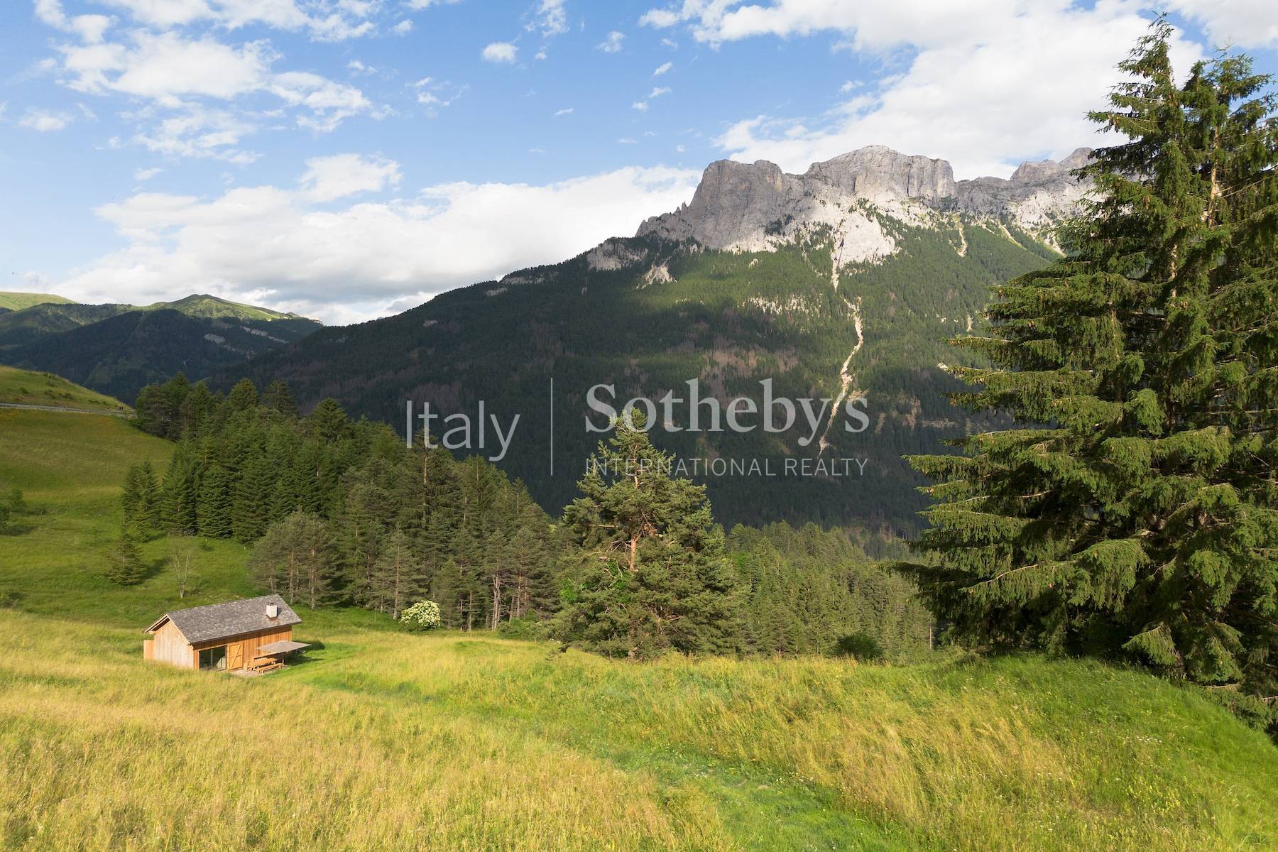  Exclusive chalet in the heart of the Dolomites - 物件實景