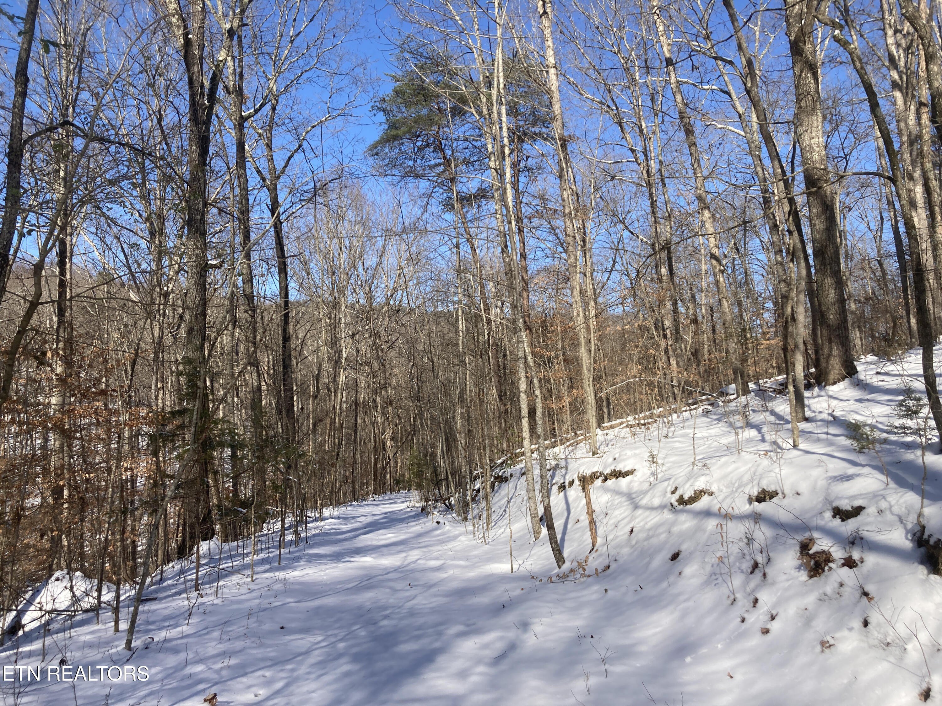 Pikeville, Tennessee, 37367, United States, ,Land,For Sale,1975616