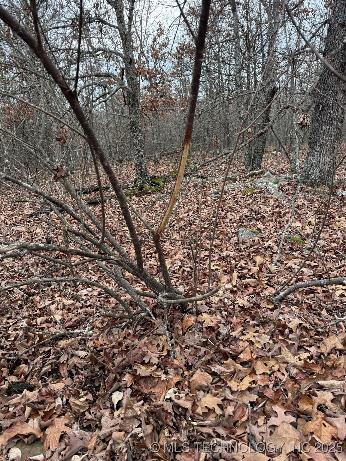 Fort Gibson, Oklahoma, 74434, United States, ,Residential,For Sale,2006417