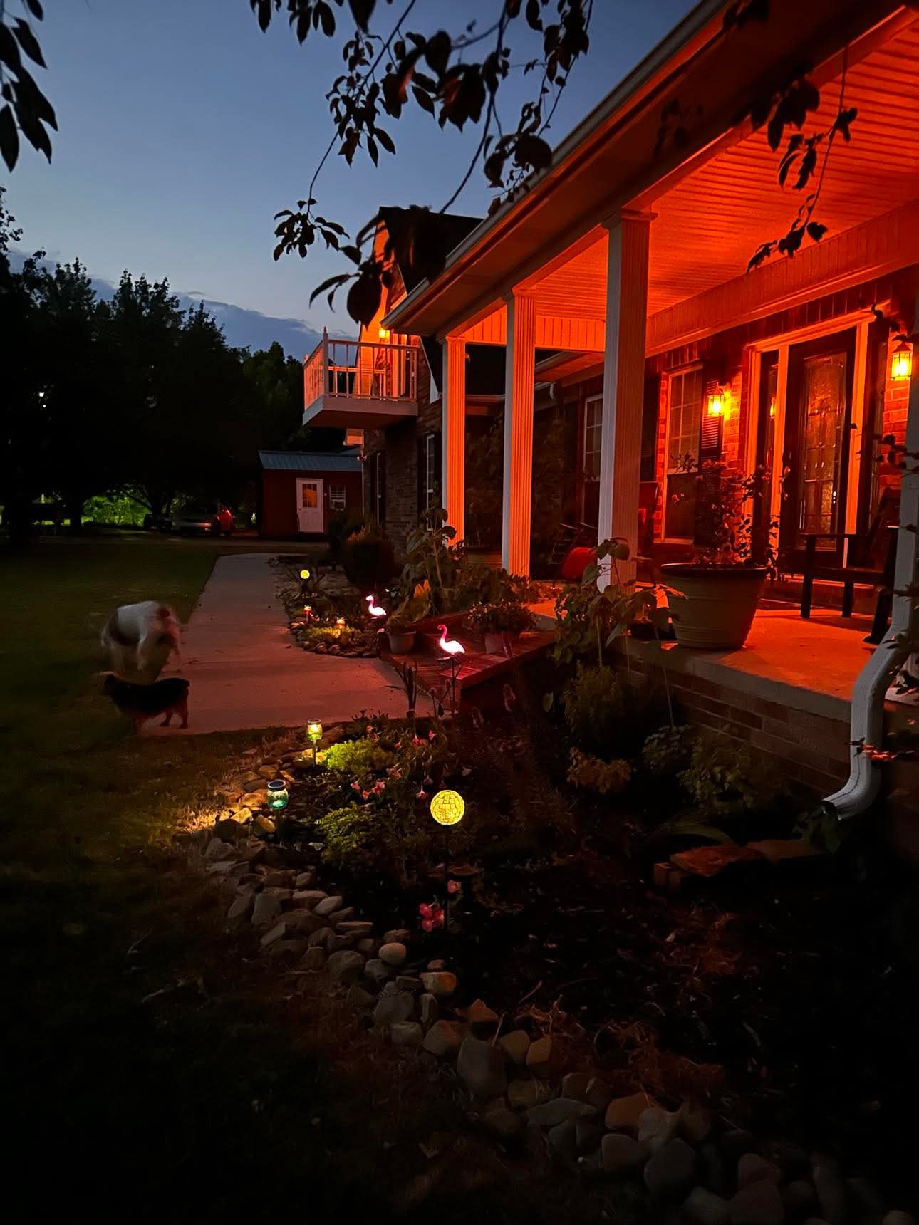 Russellville, Arkansas, 72802, United States, 5 Bedrooms Bedrooms, ,4 BathroomsBathrooms,Residential,For Sale,1866555