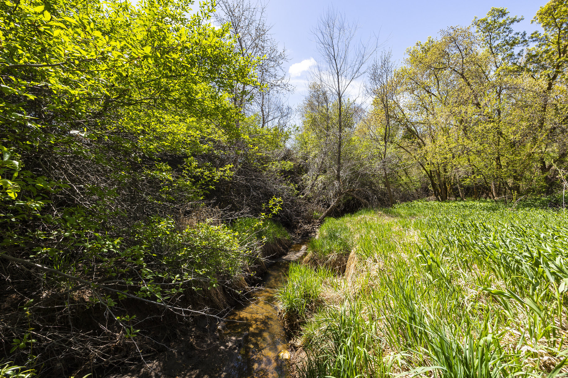  1.47 Acre Lot In East Layton With Endless Possibilities - 物件實景