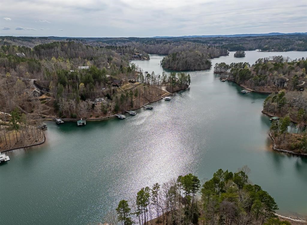 Sunset, South Carolina, 29685, United States, ,Land,For Sale,1896447