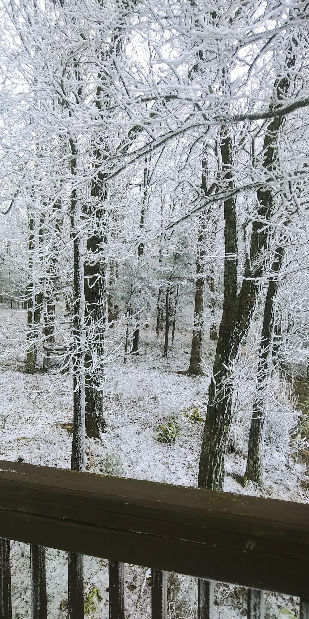 Menlo, Georgia, 30731, United States, 3 Bedrooms Bedrooms, ,2 BathroomsBathrooms,Residential,For Sale,1989931