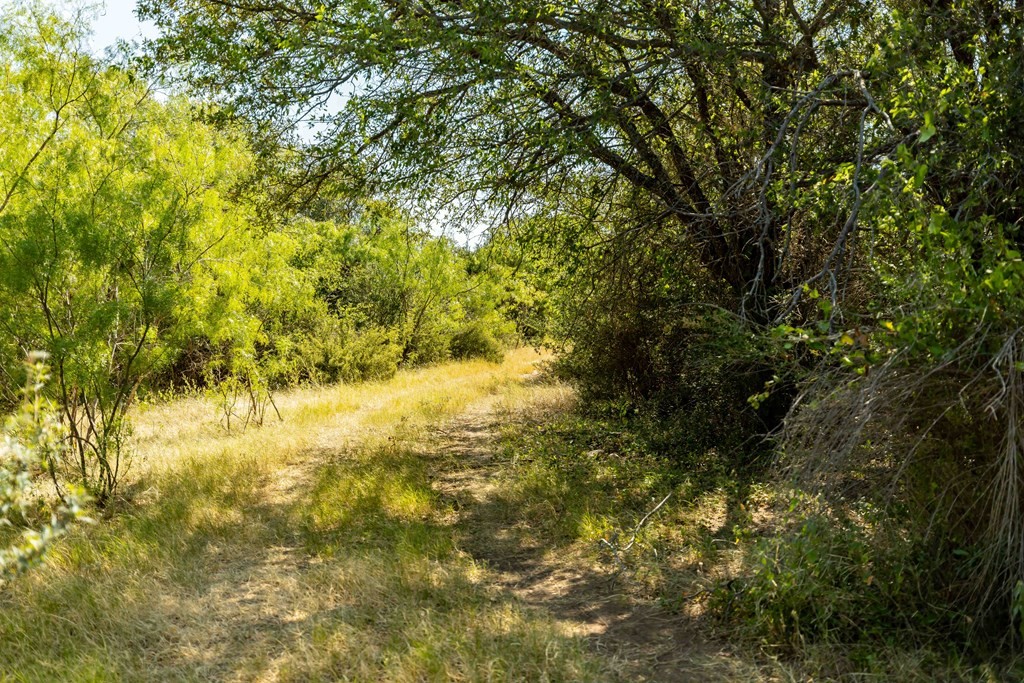 0 Ranch Rd 783, Doss, Texas, 78618, United States, ,Residential,For Sale,0 Ranch Rd 783,1310682