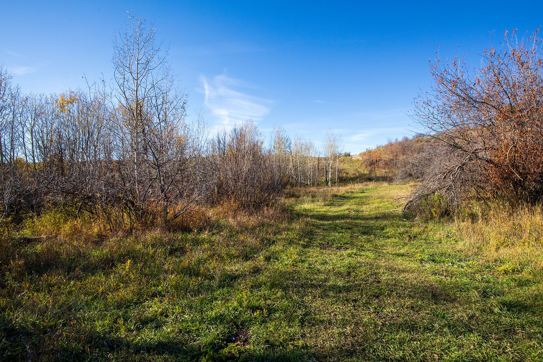  Grover Dry Farm Road - 物件實景