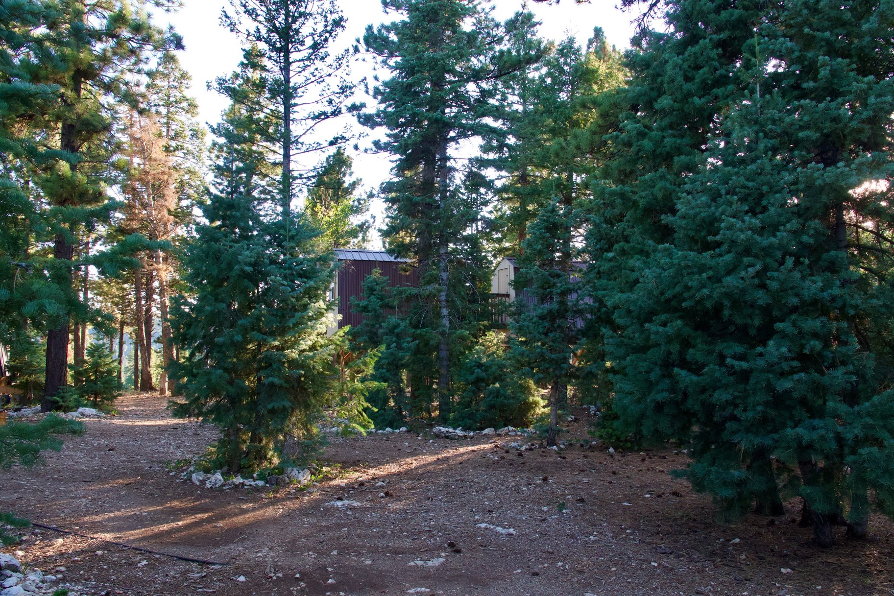  Charming A-Frame Retreat Backing National Forest With Panoramic Views - 物件實景