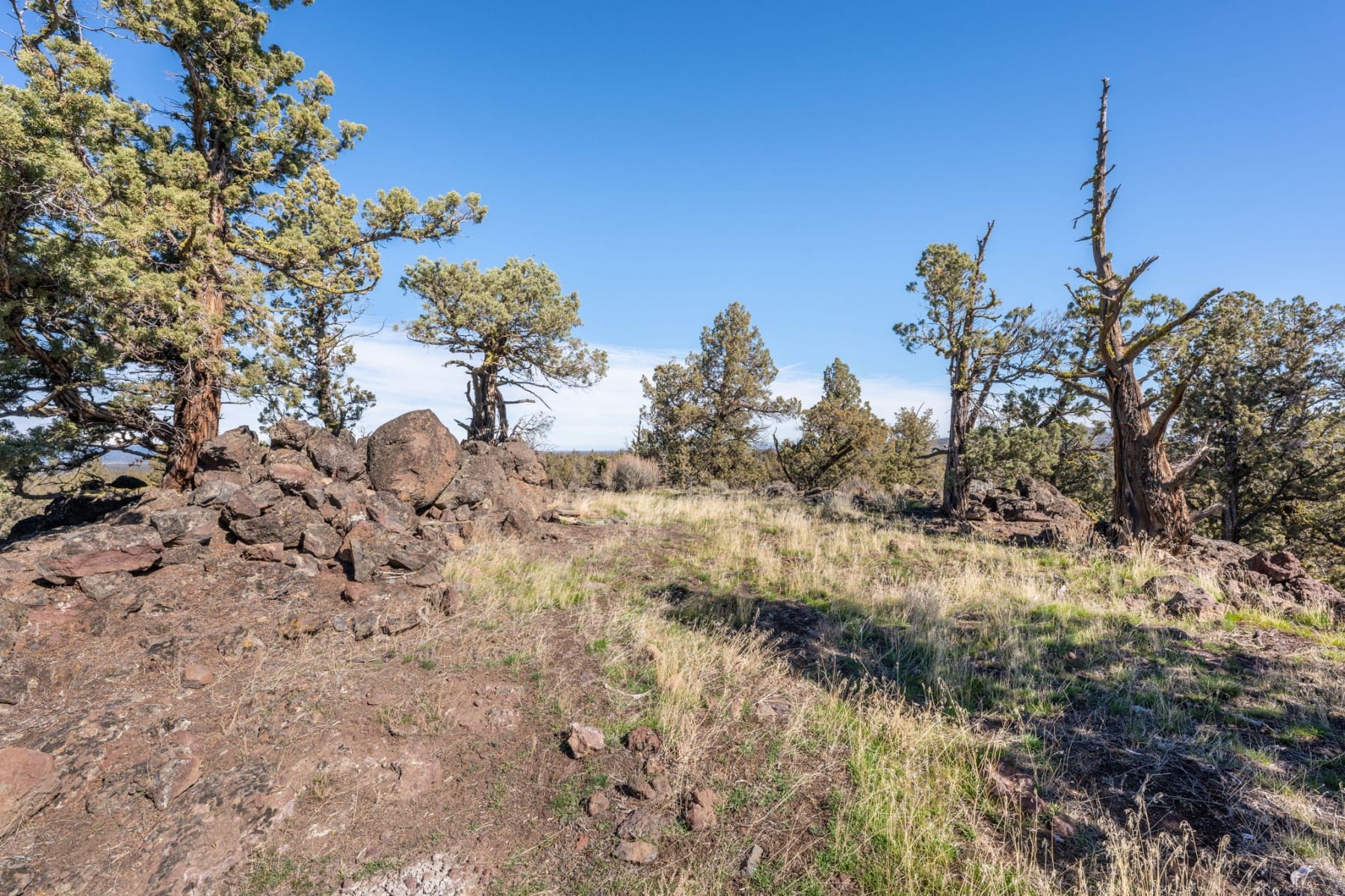  19040 Dusty Loop Bend, OR 97703 - 物件實景