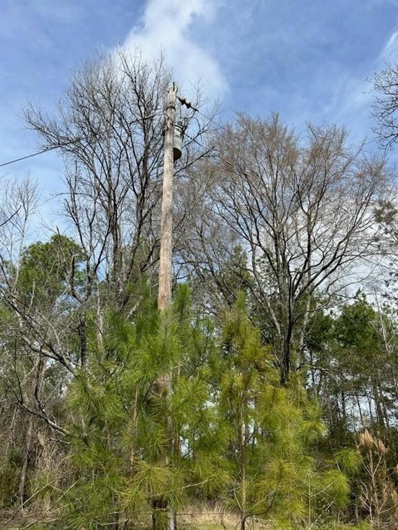 Huntington, Texas, 75949, United States, ,Land,For Sale,1785576