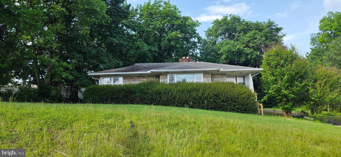 South St, Woodstock, VA 22664 #1