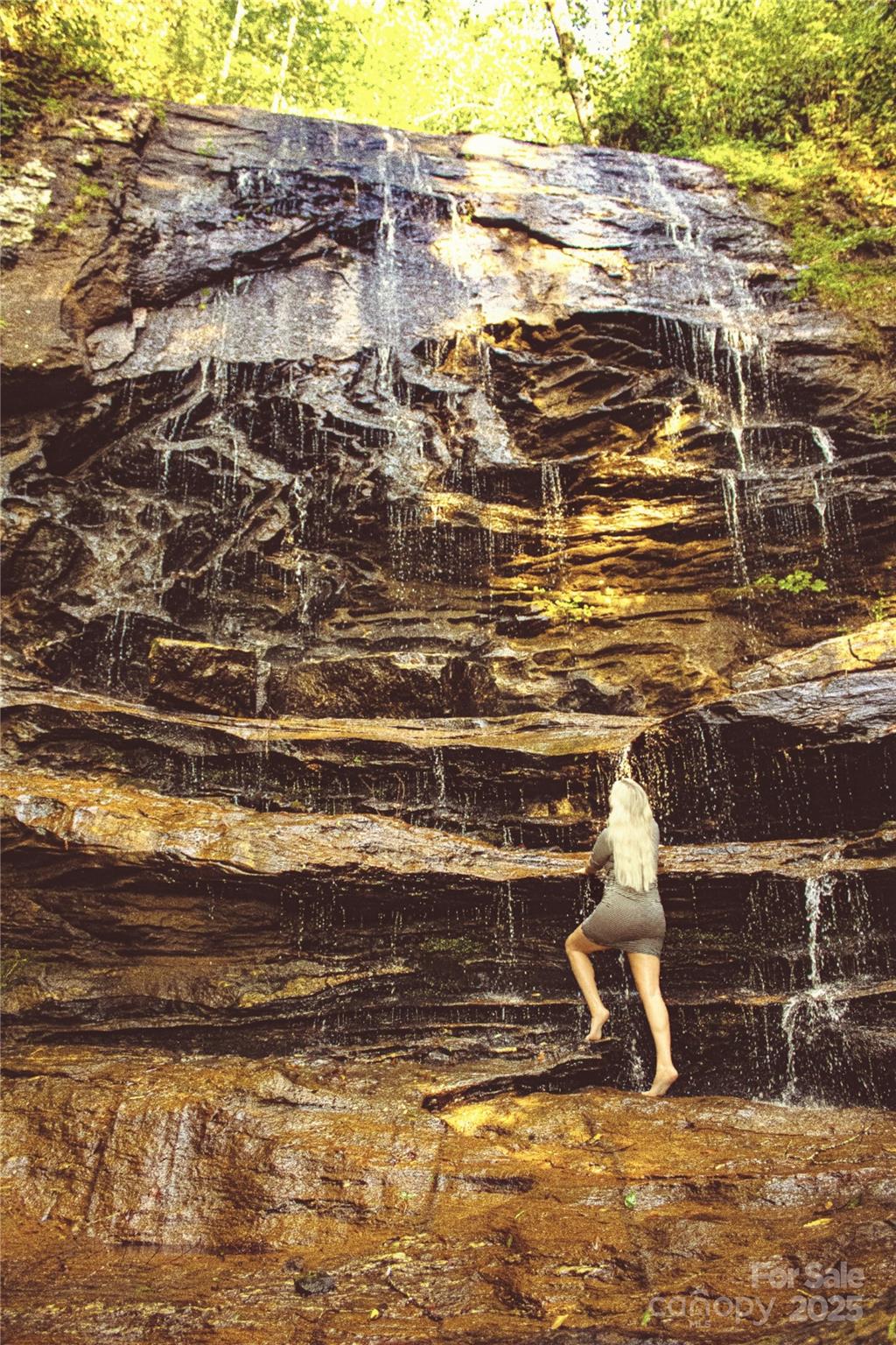 Union Mills, North Carolina, 28167, United States, ,Land,For Sale,1983809