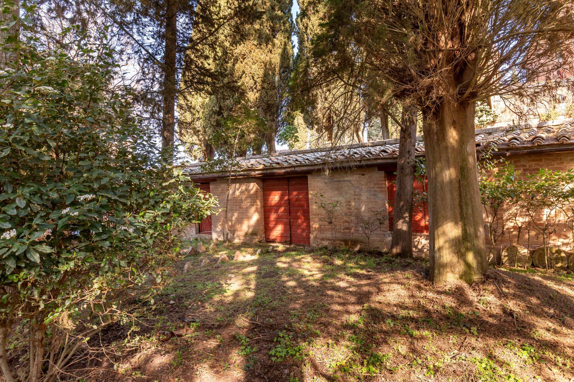 Asciano, Siena, 53041, IT, ,Residential,For Sale,1796877