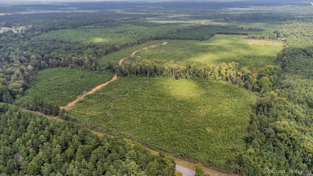 0 Highway 157 Highway, Haughton, Louisiana, 71037, United States, ,Land,For Sale,0 Highway 157 Highway,1646378