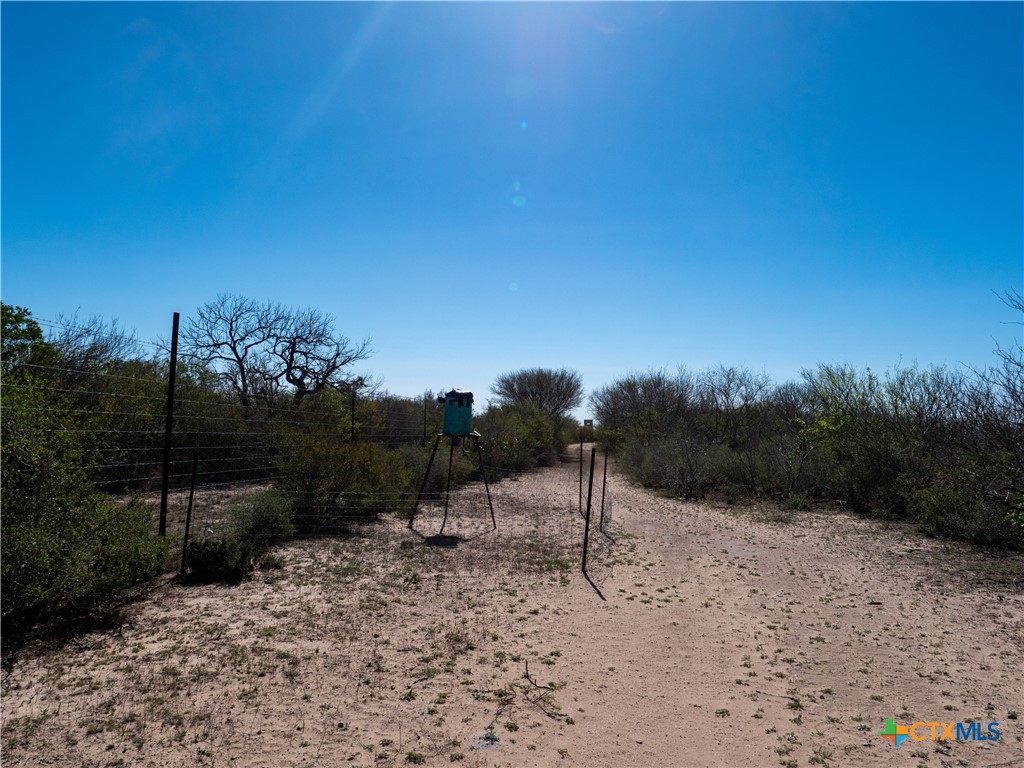 George West, Texas, 78022, United States, ,Land,For Sale,1738703