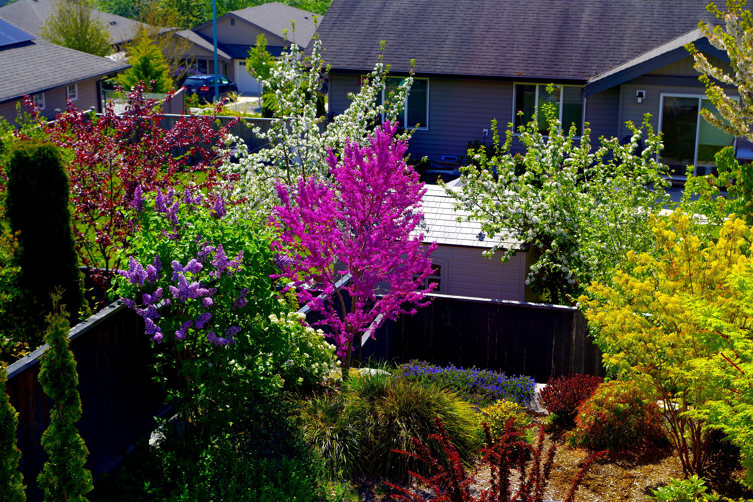  Sechelt, Sunshine Coast - 物件實景