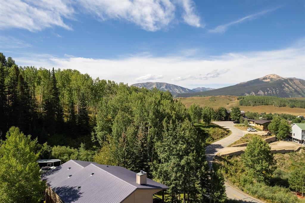 Mt. Crested Butte, Colorado, 81225, United States, ,Land,For Sale,1731584