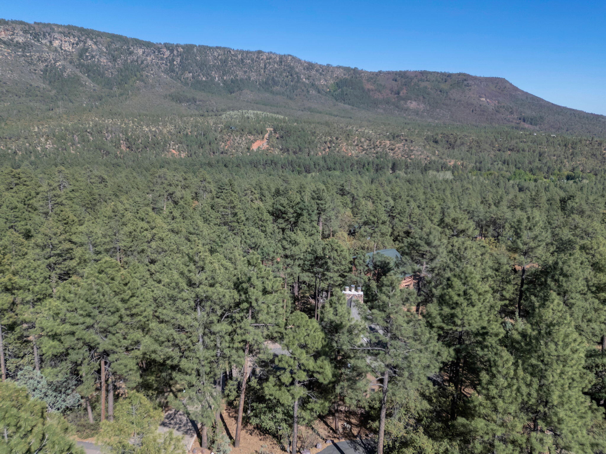Pine, Arizona, 85544, United States, 3 Bedrooms Bedrooms, ,2 BathroomsBathrooms,Residential,For Sale,1828056