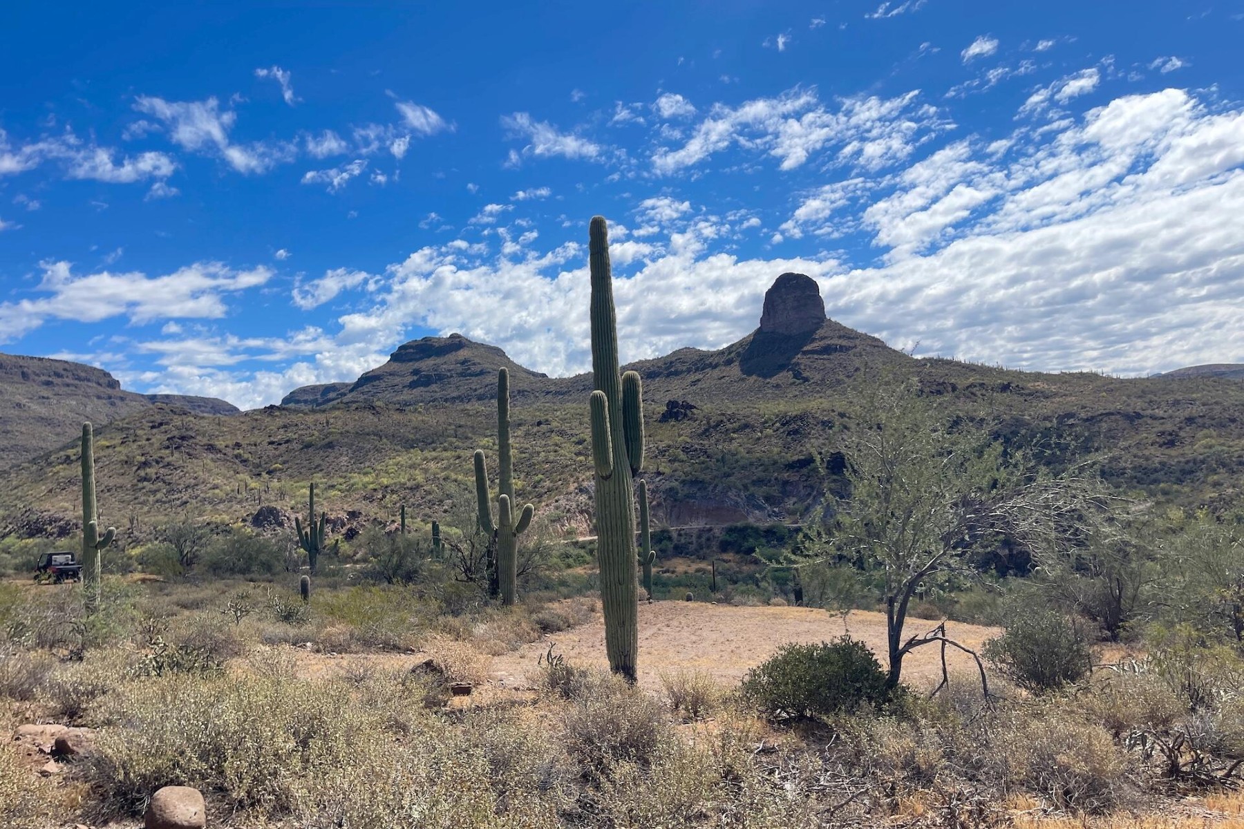  31900 S Tillys Trail¦Black Canyon City, AZ - 物件實景