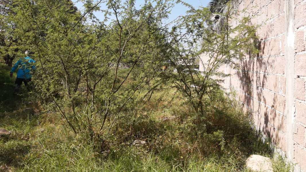 5 DE MAYO, Yautepec, Morelos, 62737, Mexico, 1 Bedroom Bedrooms, ,Residential,For Sale,5 DE MAYO,1444065
