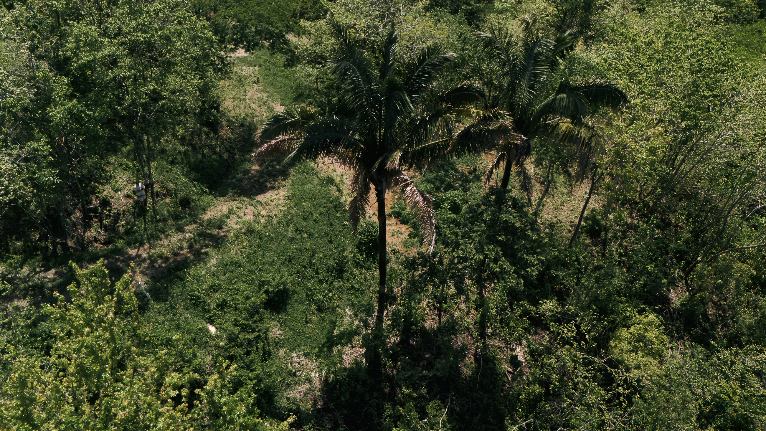 Nosara, Guanacaste, CR, ,Land,For Sale,1669008