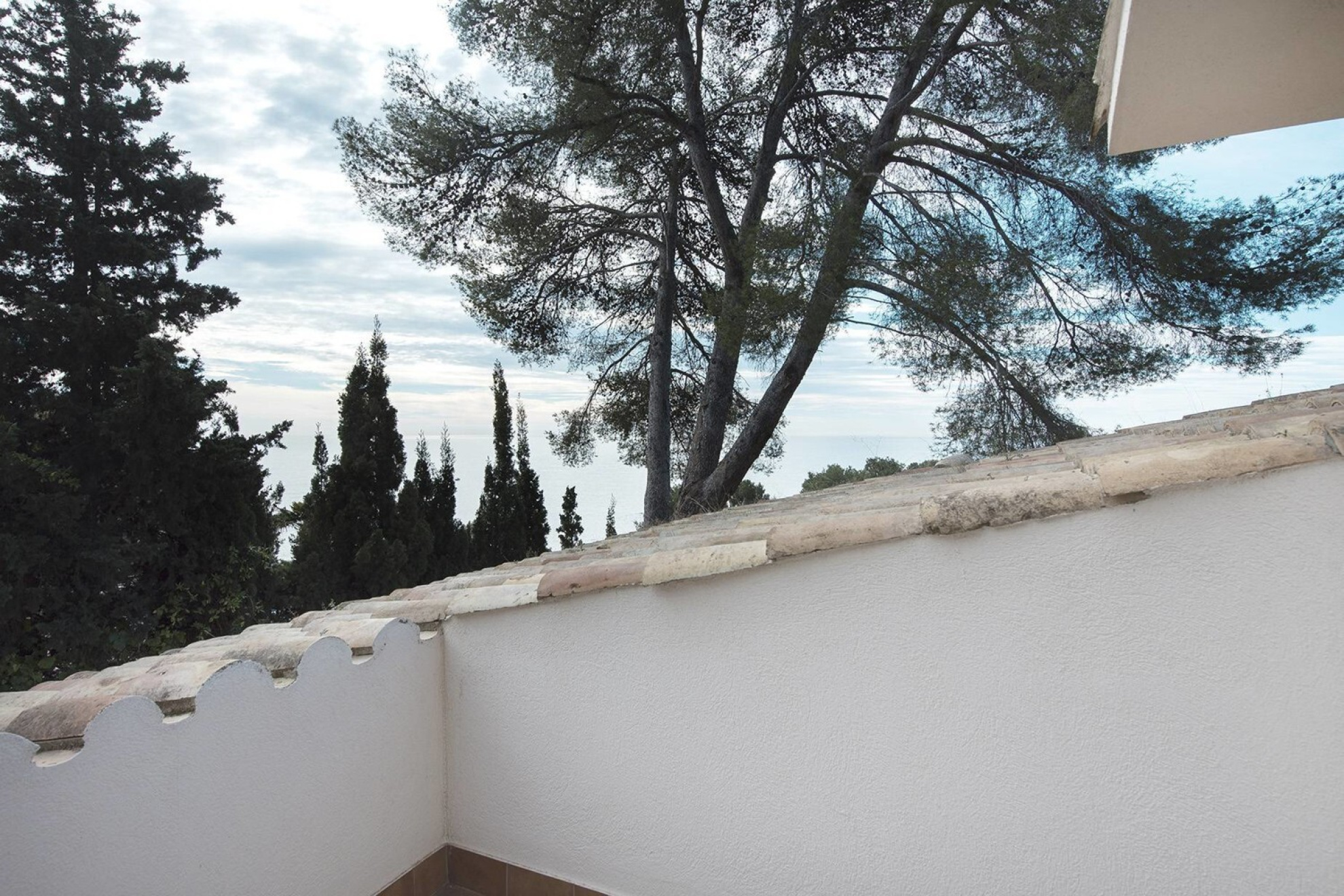  Exclusive villa just 350 m from the beautiful Cala Sant Francesc - 物件實景