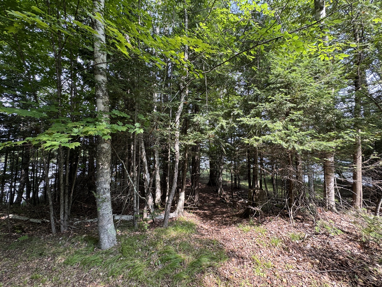 Mercer, Wisconsin, 54547, United States, 3 Bedrooms Bedrooms, ,1 BathroomBathrooms,Residential,For Sale,1974621