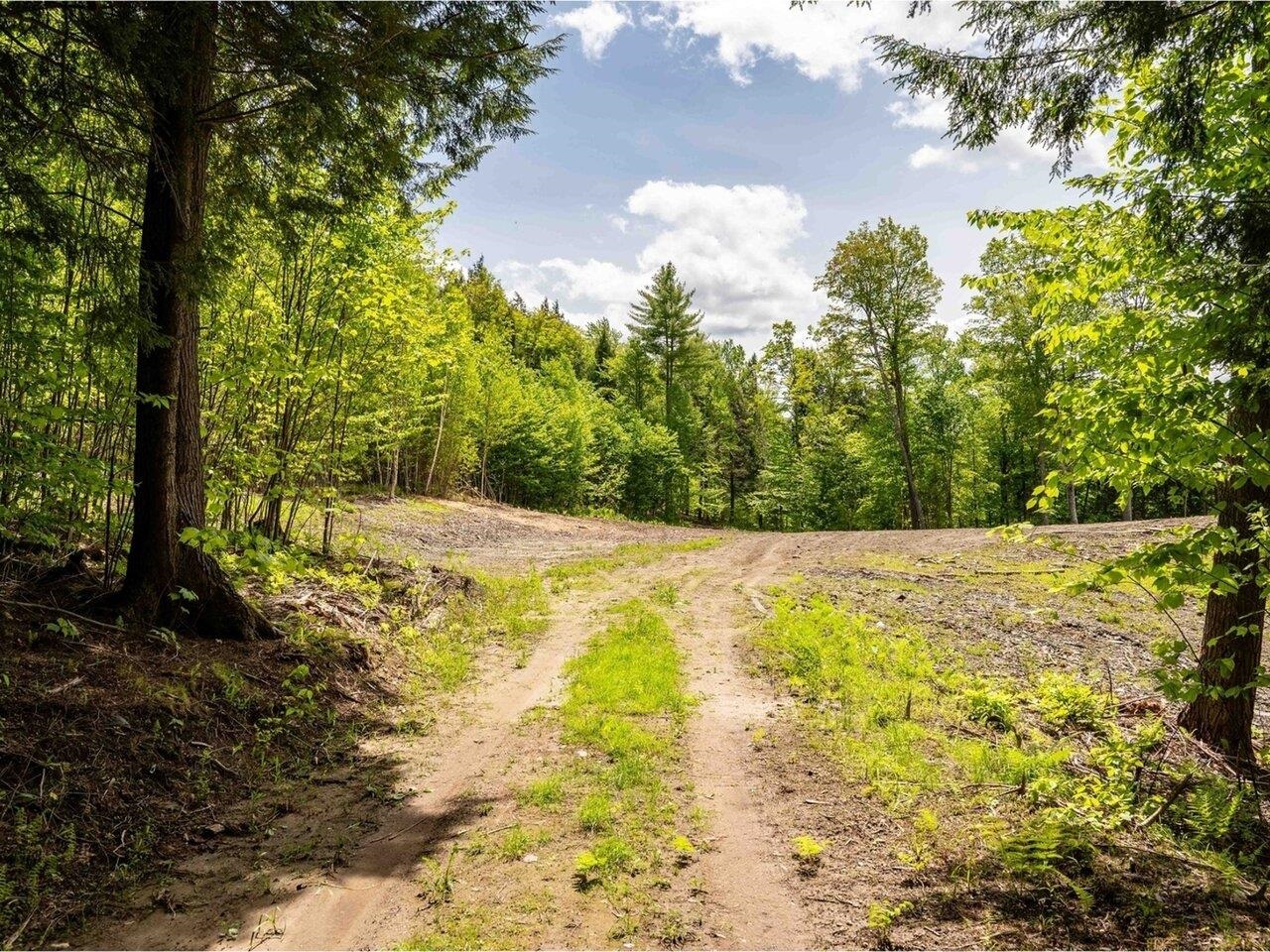 Berlin, Vermont, 05602, United States, ,Land,For Sale,1850214
