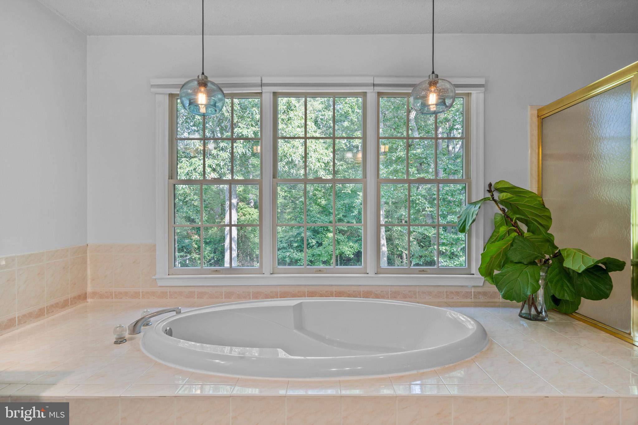 Issue, Maryland, 20645, United States, 4 Bedrooms Bedrooms, ,4 BathroomsBathrooms,Residential,For Sale,1931955