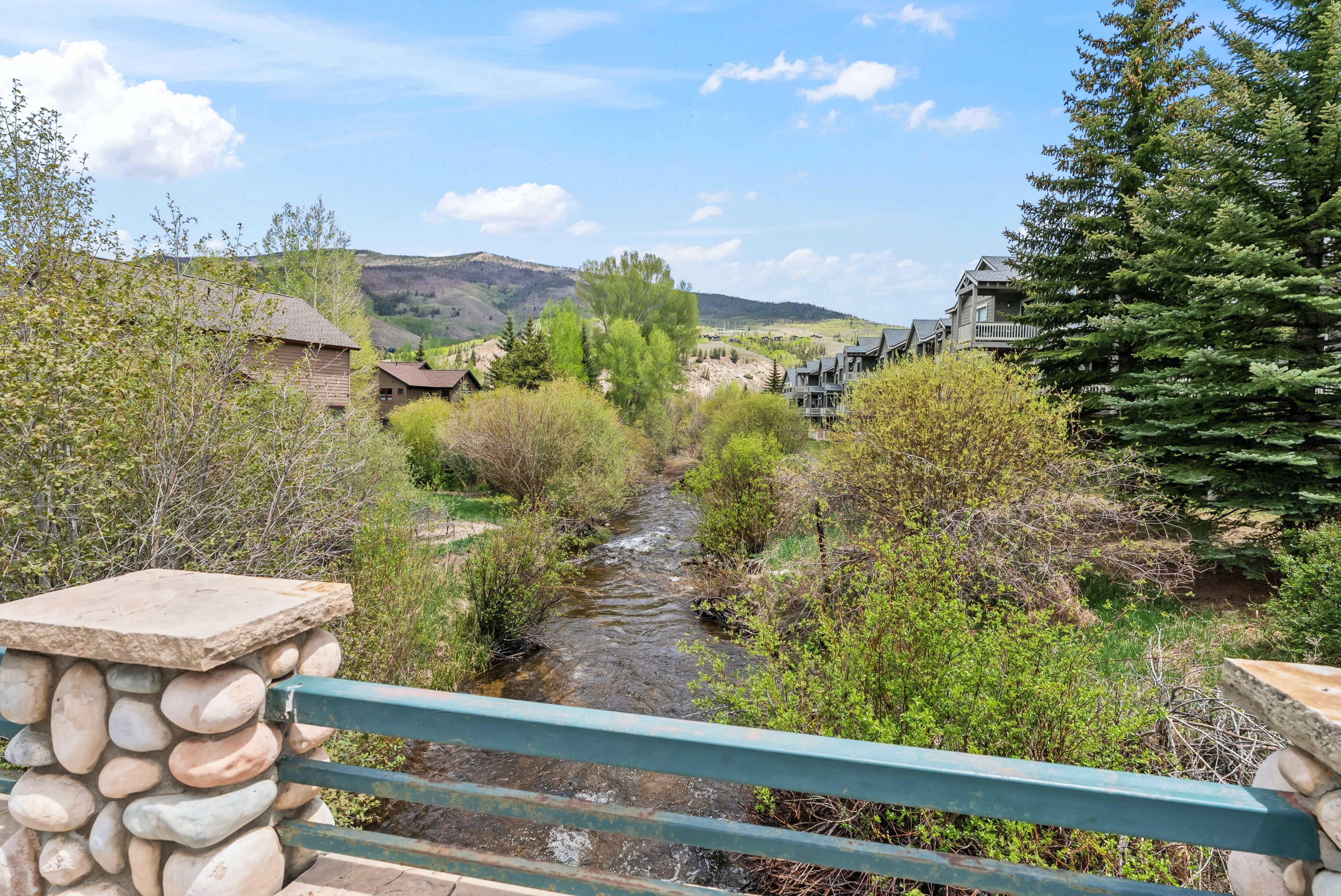  135 Creek Lane, Silverthorne, CO, 80498 - 物件實景