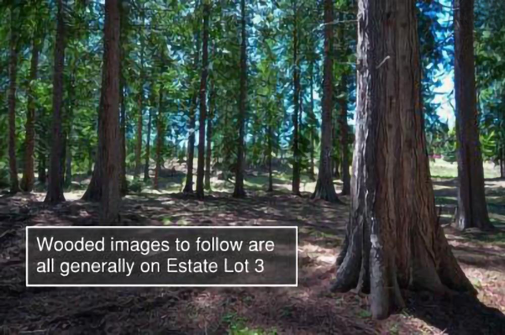 Sagle, Idaho, 83860, United States, ,Land,For Sale,1974286