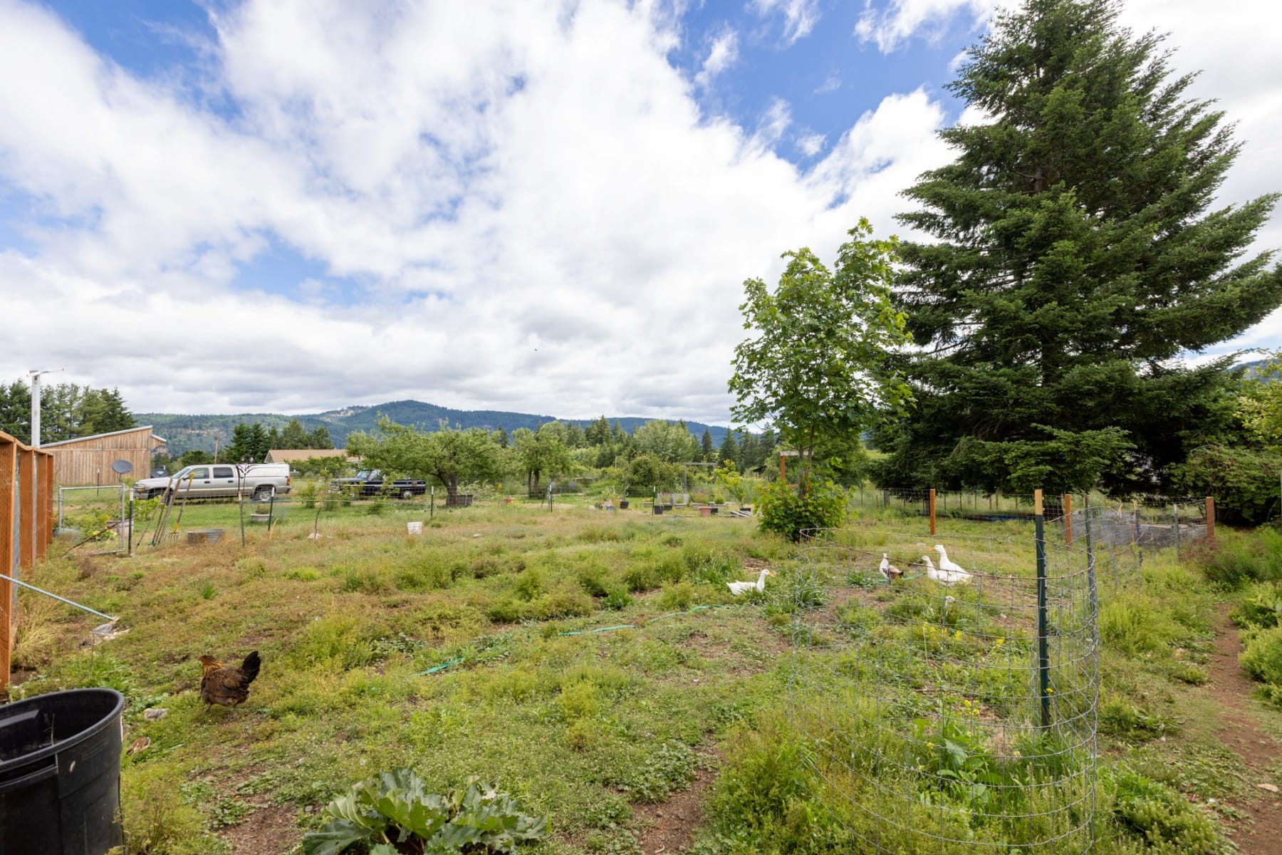  6455 TROUT CREEK RIDGE RD Mt Hood Prkdl, OR 97041 - 物件實景