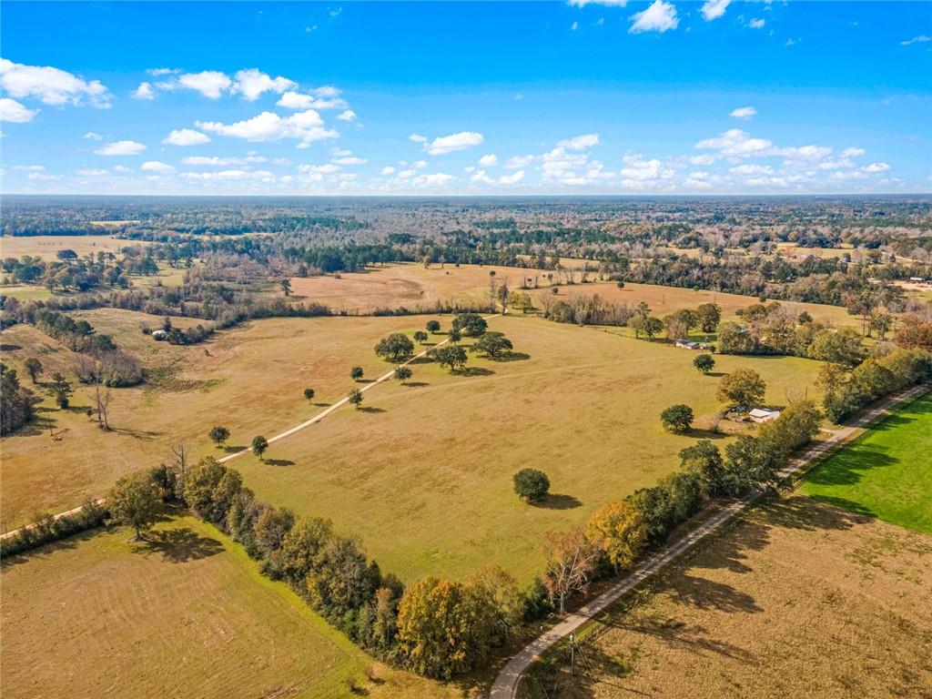 227.5 Acres Old Military (hwy 1082) Road, Bush, Louisiana, 70431, United States, ,Land,For Sale,227.5 Acres Old Military (hwy 1082) Road,1434121