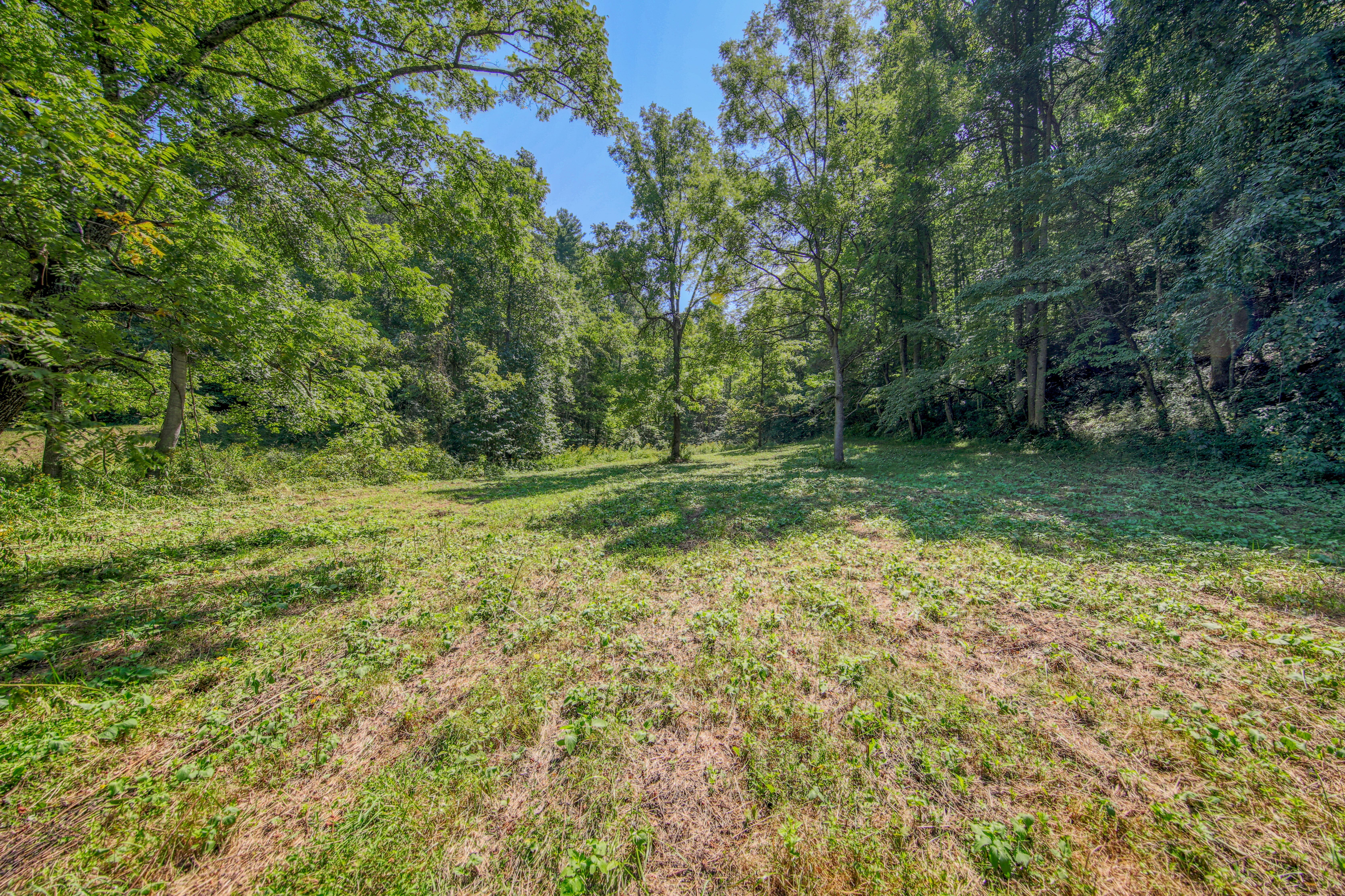  Belcher Loop, Tellico Plains, TN 37385 - 物件實景