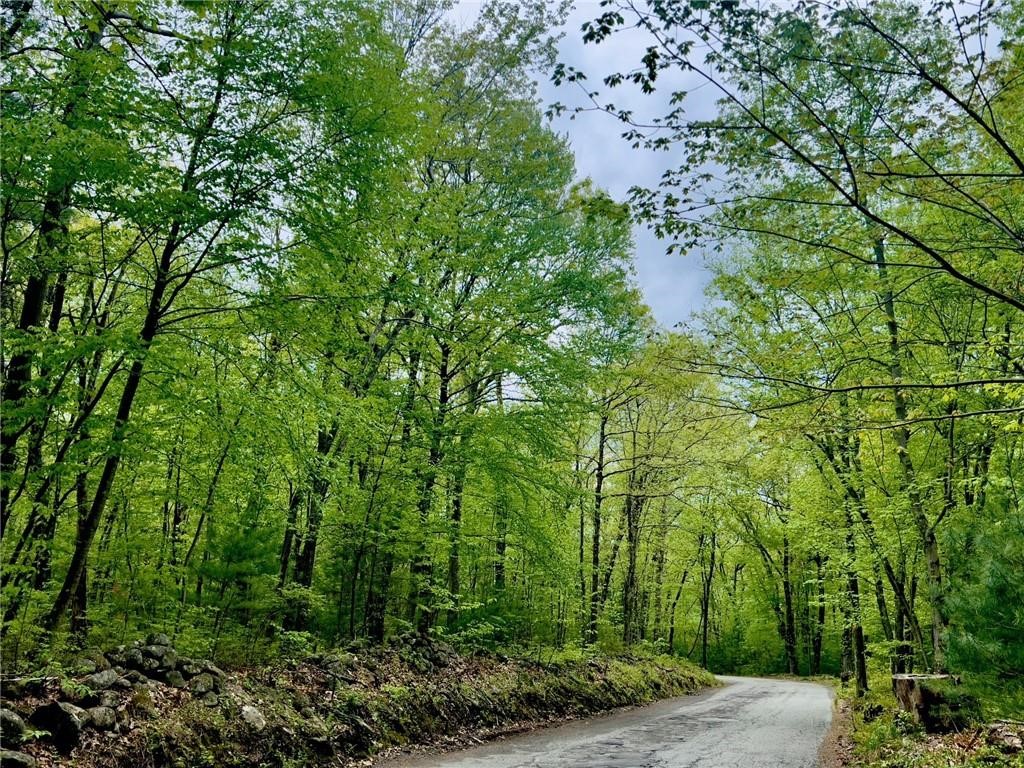 Smithfield, Rhode Island, 02859, United States, ,Land,For Sale,1987774