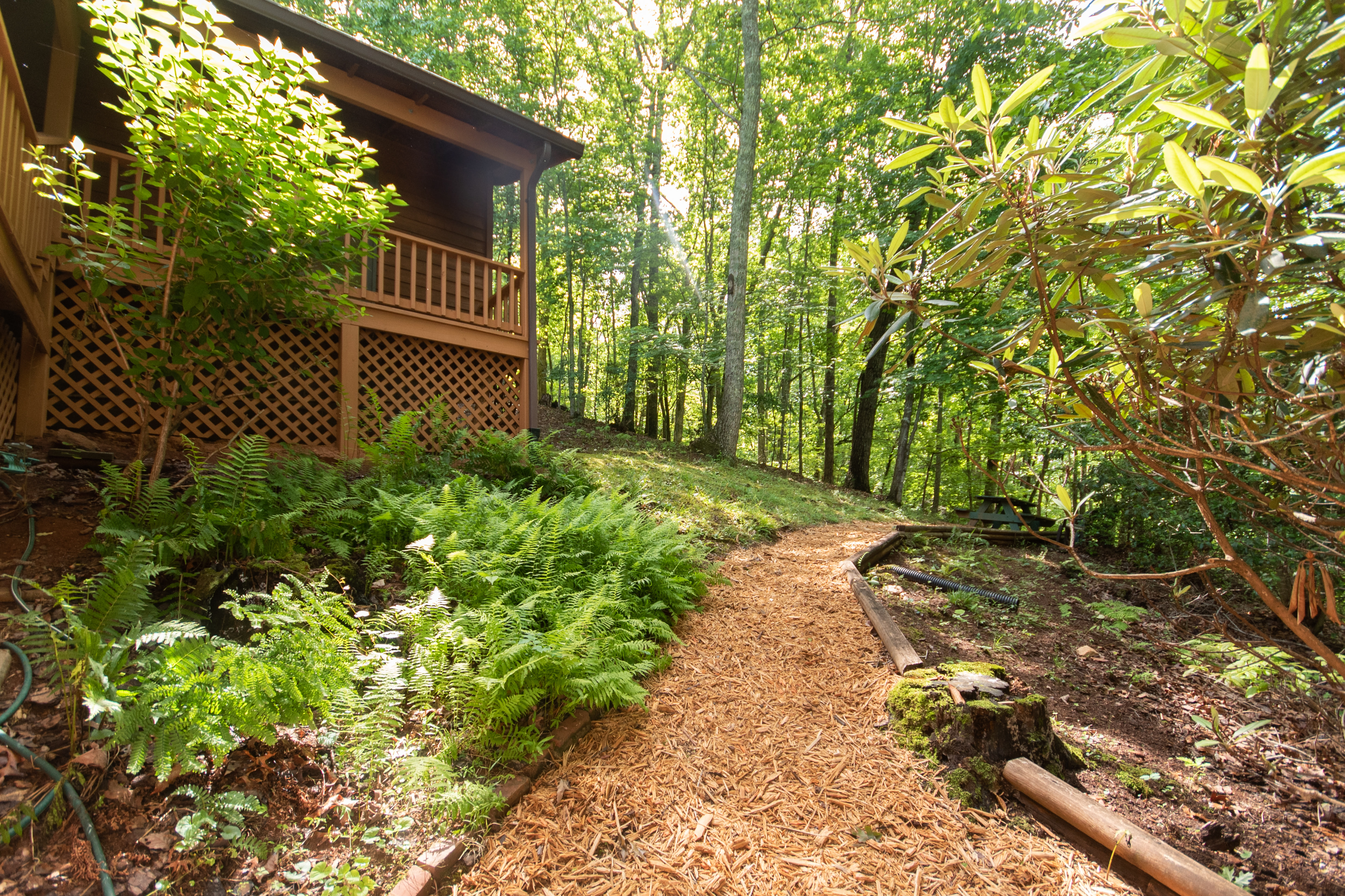  Dowdle Mountain Retreat - 物件實景