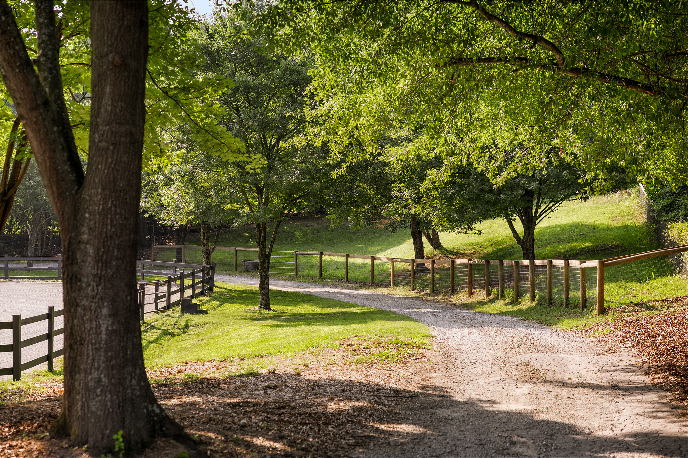  Rare Equestrian Facility with Prestigious Address - 物件實景