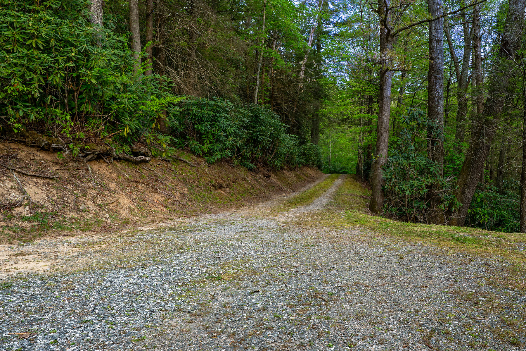 HOLIDAY HILLS - BOONE - 物件實景