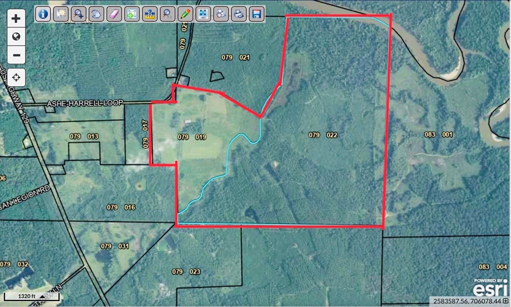 Abbeville, Georgia, 31001, United States, ,Land,For Sale,1975130