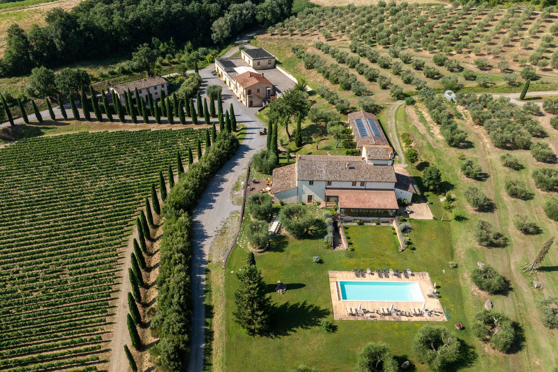  Luxury Wine Estate with Winery & Resort in Tuscany - 物件實景
